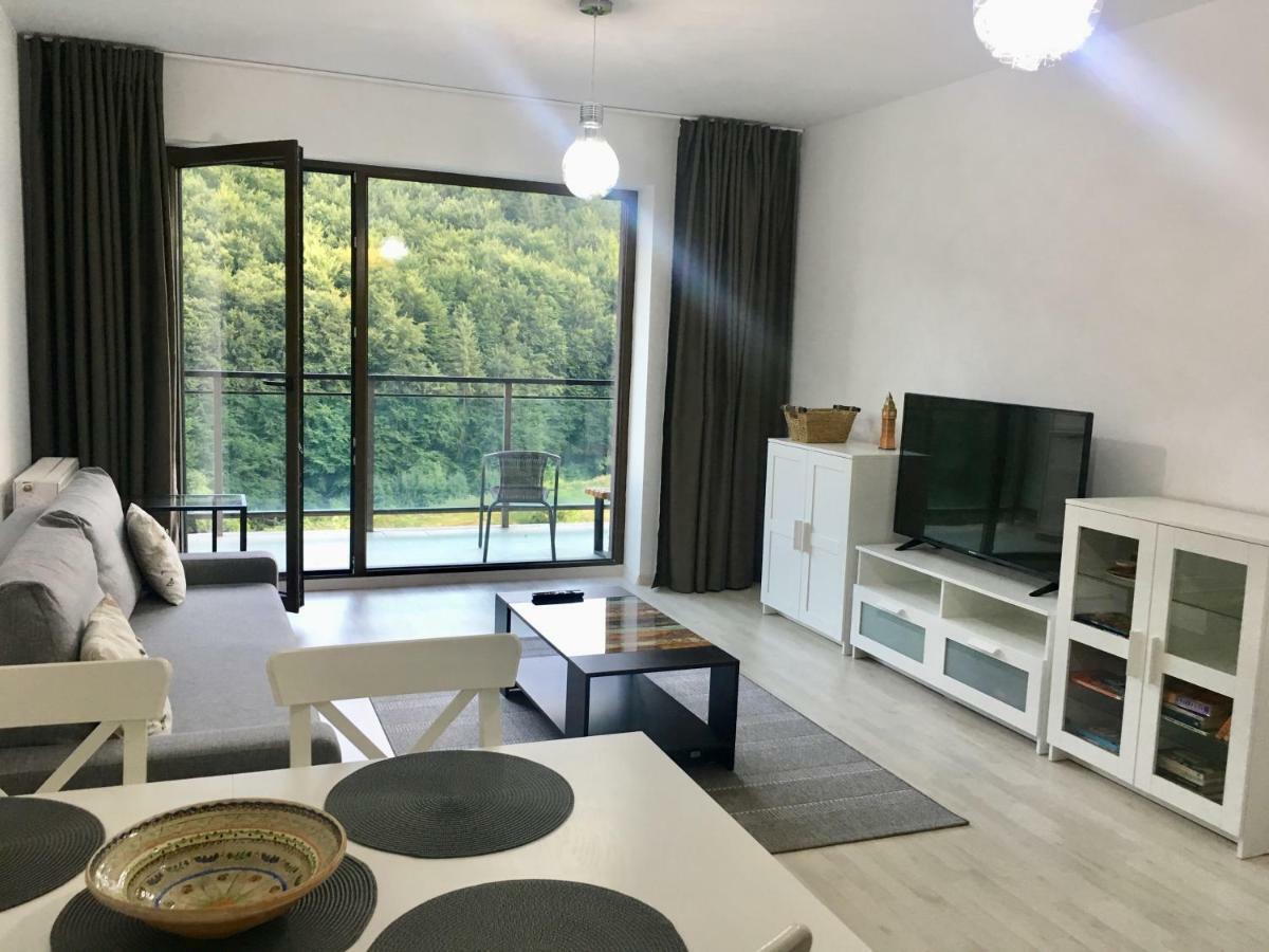Nature View Apartment براشوف المظهر الخارجي الصورة