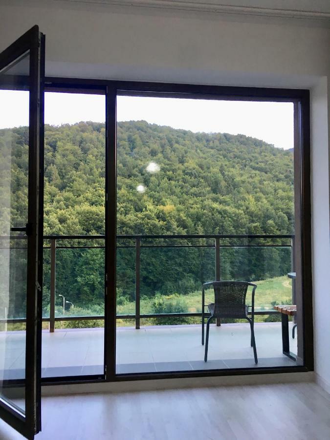 Nature View Apartment براشوف المظهر الخارجي الصورة