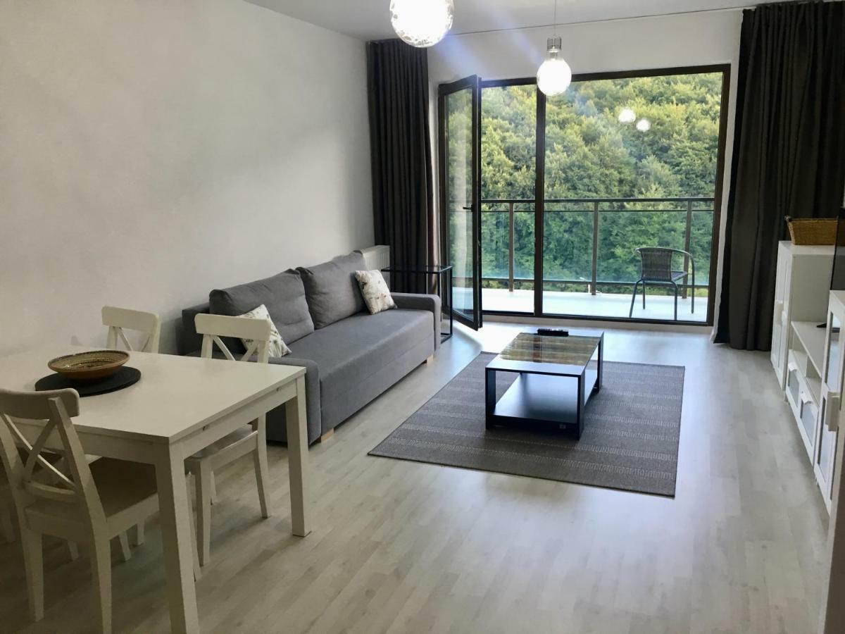 Nature View Apartment براشوف المظهر الخارجي الصورة