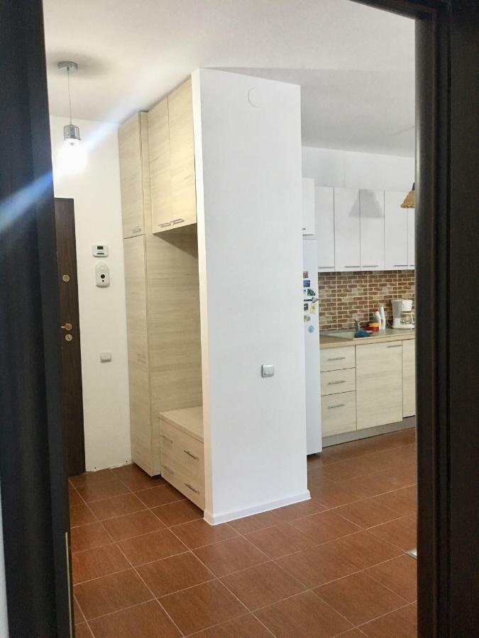 Nature View Apartment براشوف المظهر الخارجي الصورة